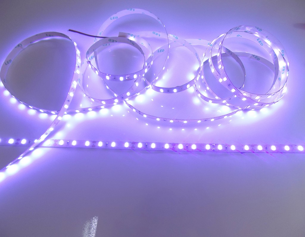 LED DÂY 5630 B